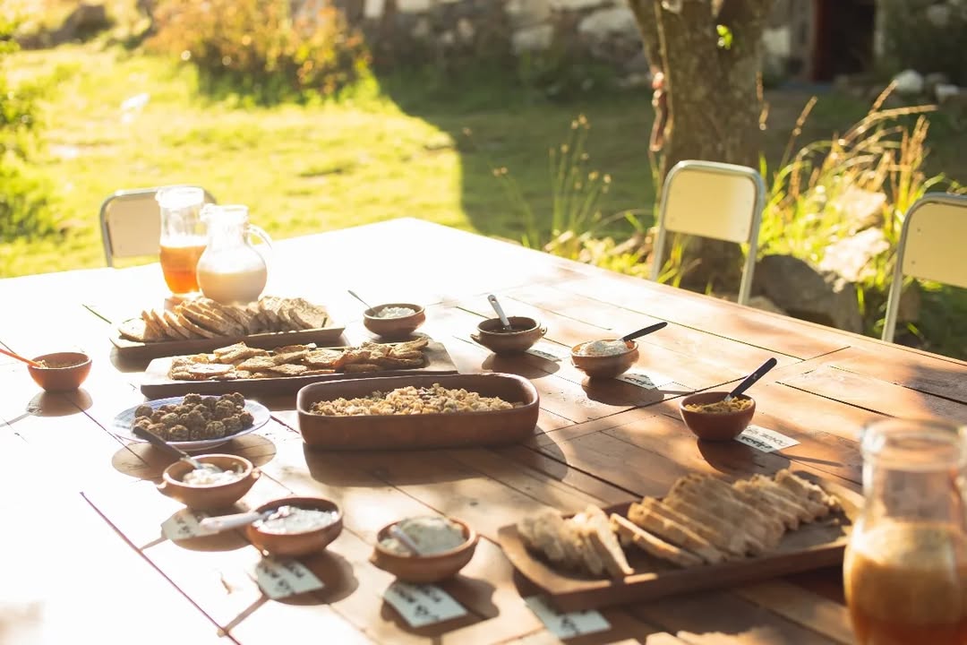 Alimentación Natural & Regenerativa